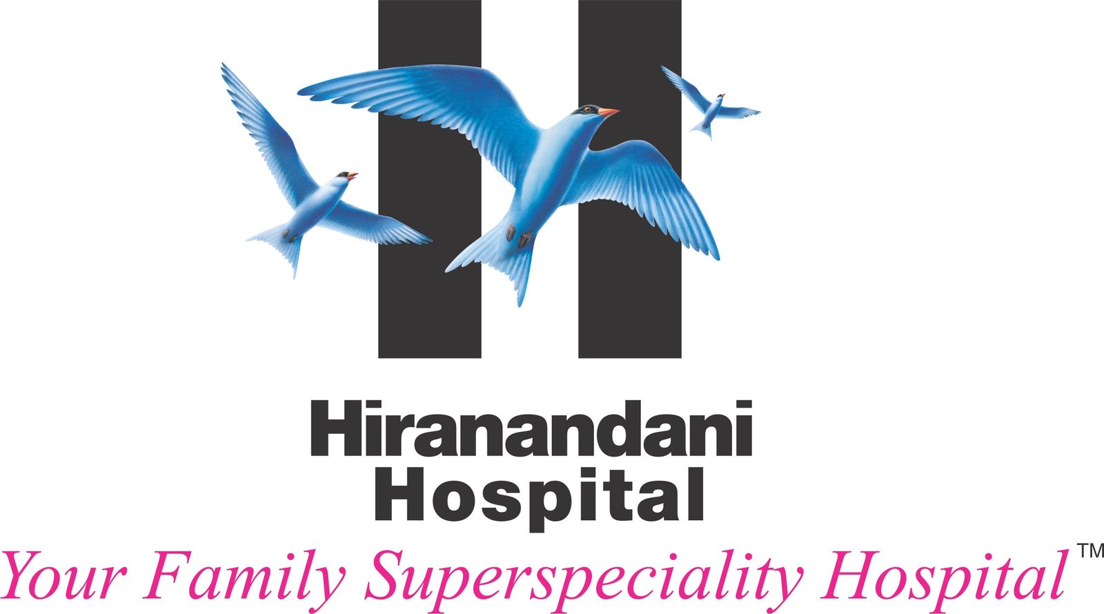 🏥Hiranandani Hospital logo